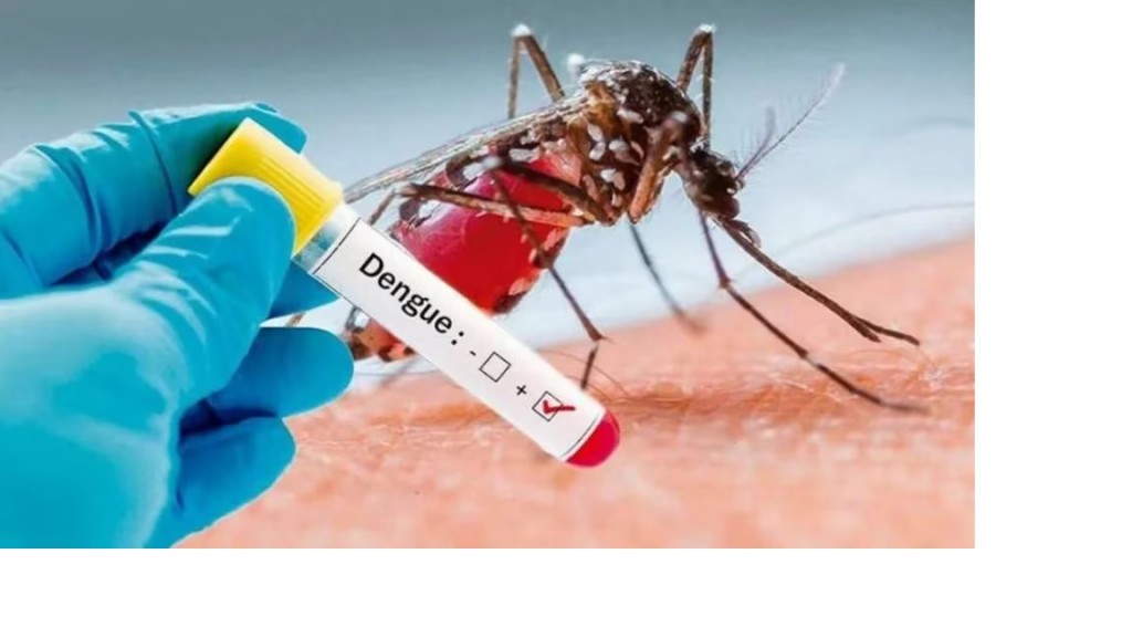 Al menos 25 muertes en todo el país: la radiografía del dengue en la Argentina
