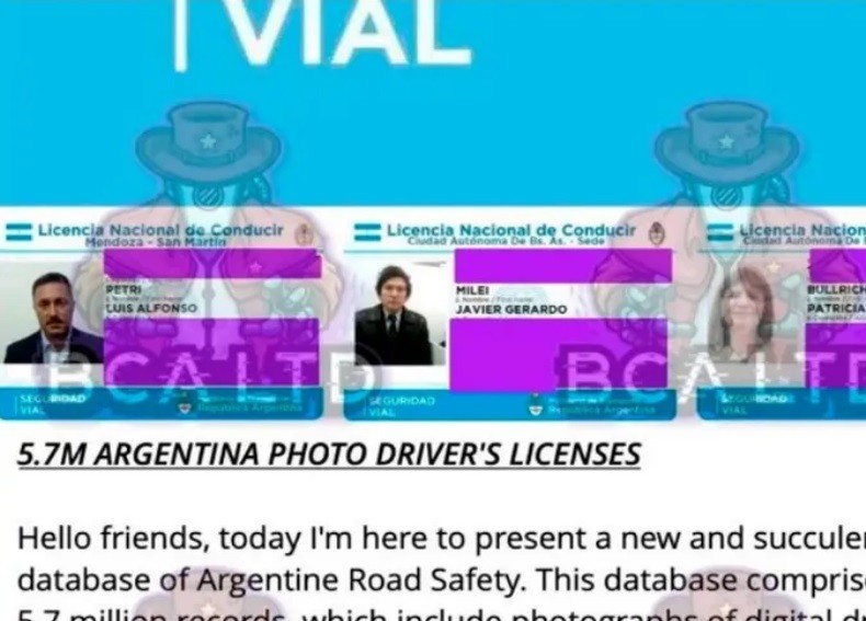 Hackearon la base de datos de la Agencia de Seguridad Vial: venden el carnet de Javier Milei