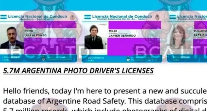 Hackearon la base de datos de la Agencia de Seguridad Vial: venden el carnet de Javier Milei