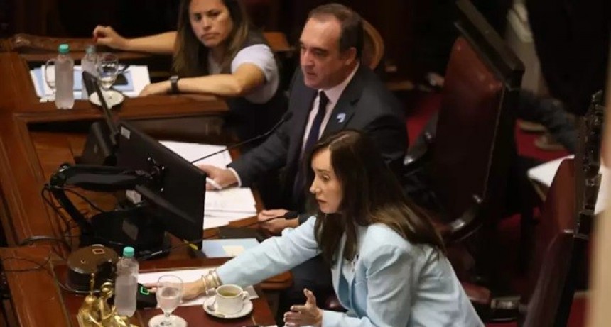 El Senado posterga Ficha Limpia y sesionará para homenajear al Papa