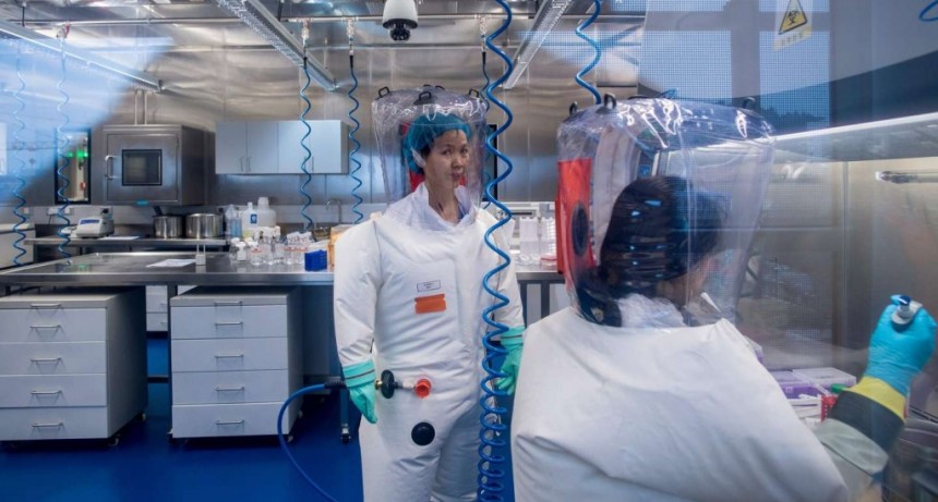 “Es una falta de respeto”: China rechazó cooperar con la OMS en una nueva investigación sobre el origen del coronavirus