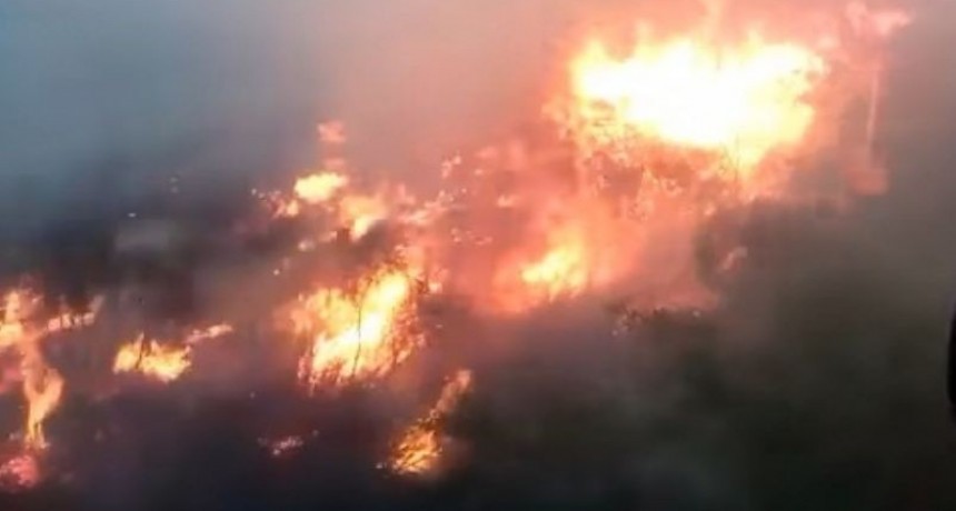 Alerta por incendios forestales en el Valle Central: advierten que hay peligrosidad extrema